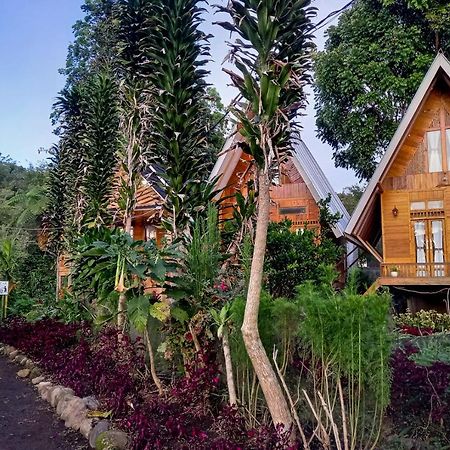 Green Paradise Pagar Alam Resort Mitra Reddoorz Bumiagung Eksteriør bilde